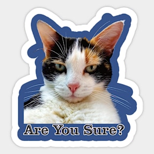 Cute Calico Cat with Attitude – Are You Sure! Sticker